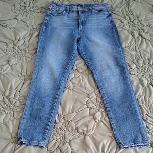 Joe's Jeans Light Blue Skinny Denim